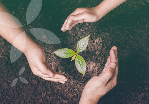 حملات دعم طارئة